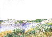 The Little Pond at Appledore Childe Hassam